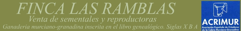 Venta de sementales y reproductoras.